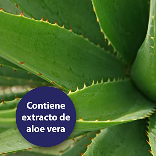 Canosept Almohadillas para El Cuidado De Los Ojos De Los Perros 100 Piezas - con Extracto De Aloe Vera Calmante - Limpieza Y Cuidado De La Zona Ocular - contra La Suciedad Y La Piedra Lagrimal