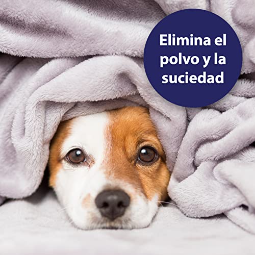 Canosept Almohadillas para El Cuidado De Los Ojos De Los Perros 100 Piezas - con Extracto De Aloe Vera Calmante - Limpieza Y Cuidado De La Zona Ocular - contra La Suciedad Y La Piedra Lagrimal