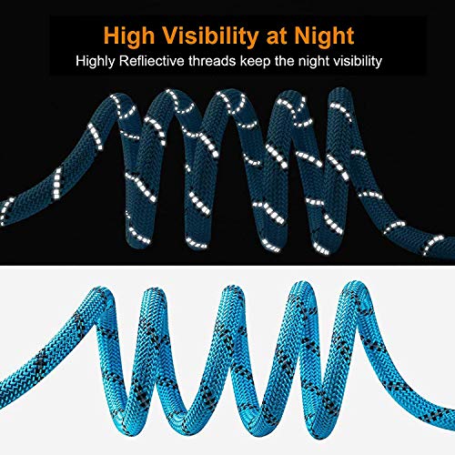 Caraele Correa de Perro, Correa de Perro Resistente de 5 pies con cómodo Mango Acolchado y Hilos Altamente Reflectantes para Perros pequeños, medianos y Grandes (Azul)