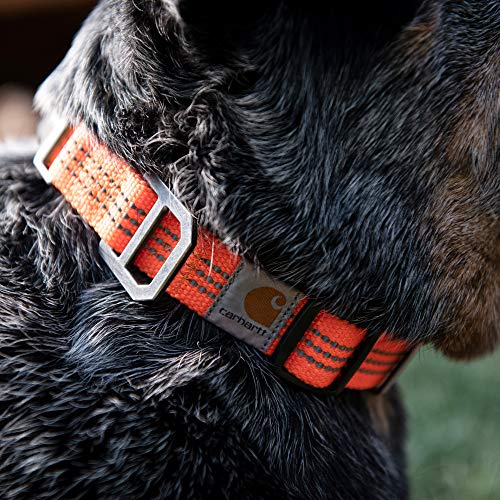 Carhartt Tradesman Collar