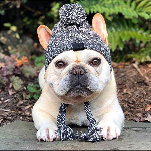 Carolilly Gorro de punto de invierno para perros, gorro para mascotas, ropa de otoño e invierno, gorro cálido para perros, fiestas, fotografía o disfraz. gris M