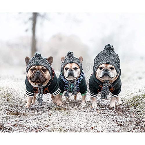 Carolilly Gorro de punto de invierno para perros, gorro para mascotas, ropa de otoño e invierno, gorro cálido para perros, fiestas, fotografía o disfraz. gris M