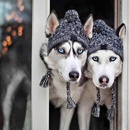 Carolilly Gorro de punto de invierno para perros, gorro para mascotas, ropa de otoño e invierno, gorro cálido para perros, fiestas, fotografía o disfraz. gris M