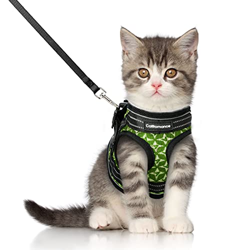 CatRomance Arnés Gato Antiescape y Ajustable con Correa de 150 cm, Arnés Chaleco Gato Reflectante de Tela de Malla Suave y Transpirable para Caminar, Entrenar, Gatos Bebes y Pequeños, Verde, S