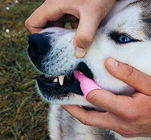 Cepillo de dientes de silicona para perros y gatos 360º (PACK 2 UDS) con diseño ergonómico para dedo - color rosa