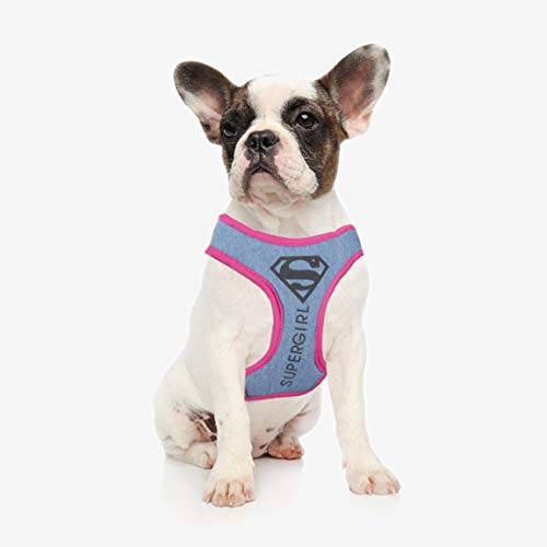 Cerdá Life'S Little Moments Arnes Para Cachorros Desuper Girl - Licencia Oficial Dc Comics 80 g