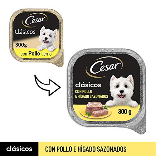 Cesar Comida Húmeda para Perros Sabor Pollo e hígado (Pack de 20 Tarrinas x 300g)