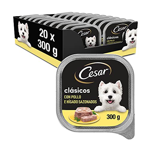 Cesar Comida Húmeda para Perros Sabor Pollo e hígado (Pack de 20 Tarrinas x 300g)