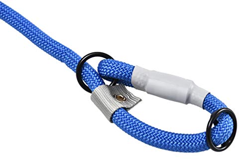 Cesar Millan Nylon Training Lead™ Correa de entrenamiento para perros – 2 en 1 collar de perro y correa (pequeña/mediana), azul