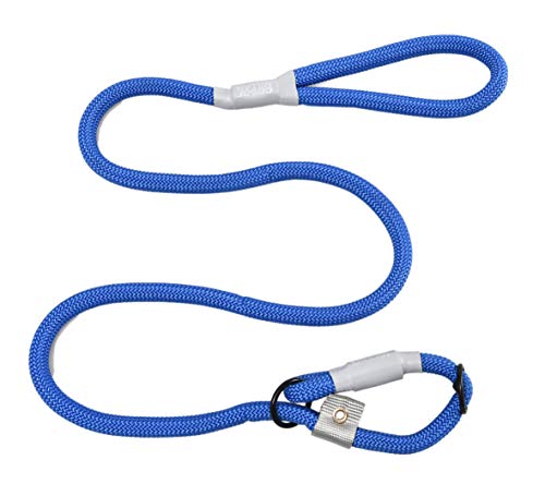 Cesar Millan Nylon Training Lead™ Correa de entrenamiento para perros – 2 en 1 collar de perro y correa (pequeña/mediana), azul