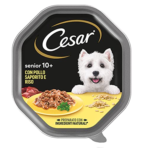 Cesar Senior - Pollo y arroz, 2100 g