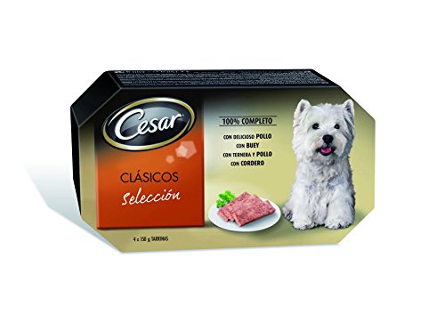 Cesar Tarrinas de Comida Húmeda para Perros en Paté, 4 x 150g