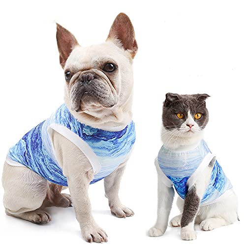 Chaleco de Refrigeración para Perros Ropa de Abrigo Fresca Instantánea para Mascotas Camiseta para Mascotas Camiseta de Verano Chaqueta de Arnés de Malla Transpirable para