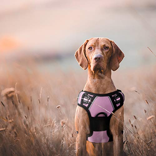 Chaleco para perro sin tirones con clip frontal con asa, reflectante fácil control al aire libre, entrenamiento de caminata, arnés de perro pequeño, acolchado en el pecho, arnés ajustable ligero