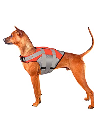 Chaleco Salvavidas para Perro con Flotabilidad Superior y Asa de Rescate Reflectante Chaleco Salvavidas para Mascotas de Verano Chaleco Salvavidas Chaleco Flotador para Perros Natación Naranja M