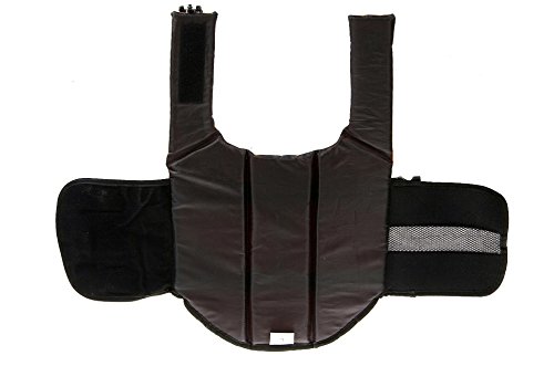 Chaleco Salvavidas para Perros para Dog Vest Life Jacket Entrenamiento de natación de Perros con Cierres de Clic Ajustables y Tiras Reflectantes, Disponible en 5 tamaños Diferentes, Naranja, XS