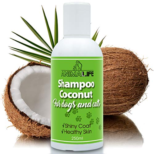 Champú de Aceite de Coco para Perros & Gatos 250ml - Árbol de Té Etéreo & Aceite de Romero - Nutriente - Fácil de Peinar - Olor Agradable