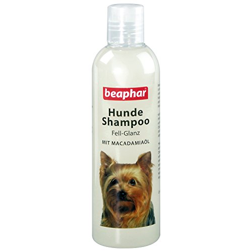 Champú para Perros de Brillo | Champú para Perros para Pelo Brillante | con Aceite de Macadamia | Cuidado del Pelo para Perros | pH Neutro | contra Mal Olor | 250 ml