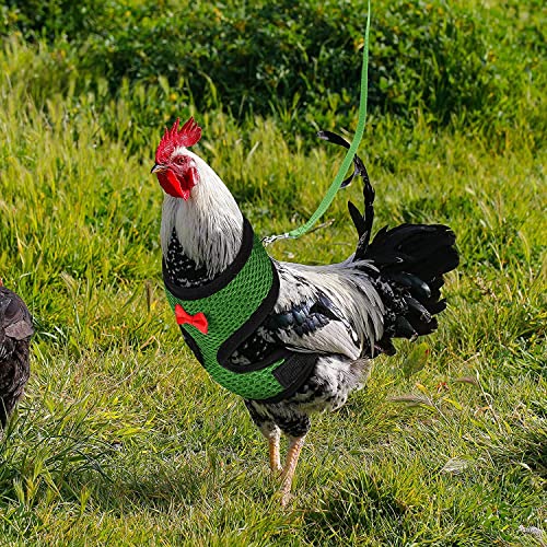 CHENGBEI Correa de Pollo Ajustable para gallinas Pato Cachorro Gallo arnés con Correa Transpirable cómodo arnés para S/M/L arnés de Gallo con Correa Grande