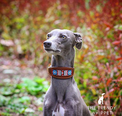 Cheveyo Aztec Bead Cuero de oveja y Ante Suave Acolchado, Collares anchos, Látigo, Galgo, Lurcher, Perro italiano Saluki Sighthound Perro Pequeño