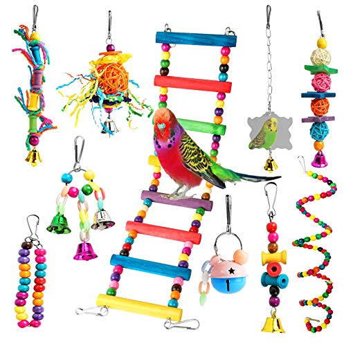 Chikanb 10 Piezas Juguetes para Pájaros, Juguetes para Columpio para Loros Accesorios, Madera Natural Jaula Pajaros Juguete de Mordida para Periquitos Africanos Grises Conures Cacatúas