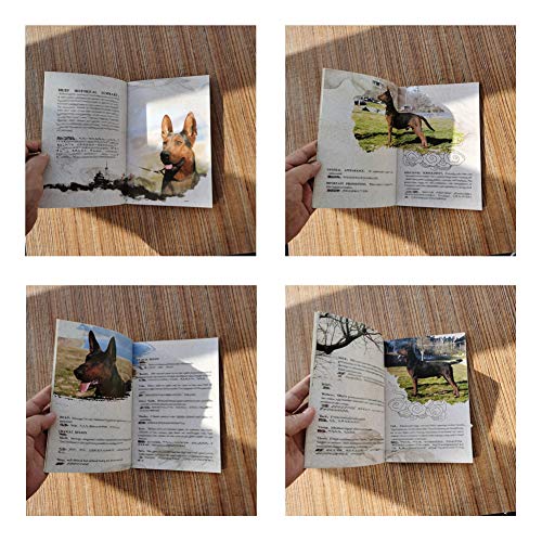 Chinese Red Dog/LAIZHOU Hong Brochure-CKU China Native Breed Conservation CLUB-2017 First Edition Standard,Laizhou Hong brochure