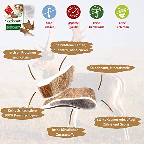 ChronoBalance® Cornamenta de morder natural XL para perros, cornamenta de damasco, barra de lanzamiento, de Alemania, cuidado dental, juguete masticable para masticar, minerales y nutrientes