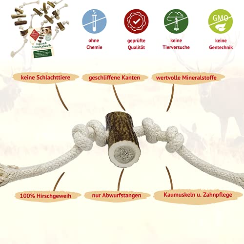 ChronoBalance® Cuerda para masticar con cuernos para perros como juguete y artículo para masticar, 100% cuernos de ciervo y algodón, juguete para masticar, cuidado dental (M).