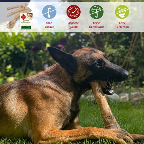 ChronoBalance® Hueso de madera de café para masticar para perros, juguete para perros, juguete para masticar, barra para morder y barra para masticar, como juguete, para el cuidado dental