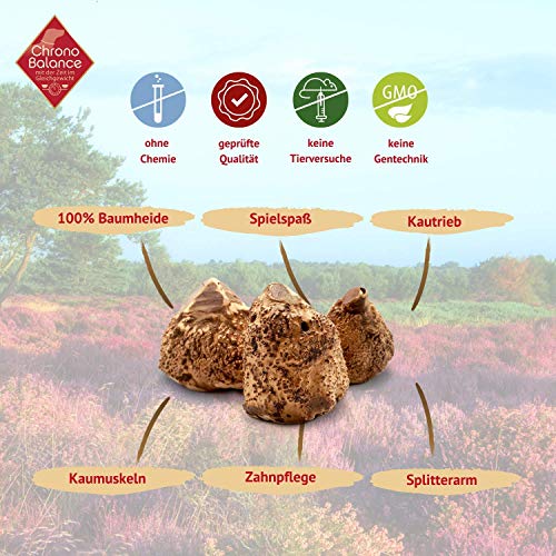 ChronoBalance® Raíz para masticar M para perros de curación de árbol, producto 100% natural, sin aditivos, juguete para masticar, sin astillas, el juguete natural para perros