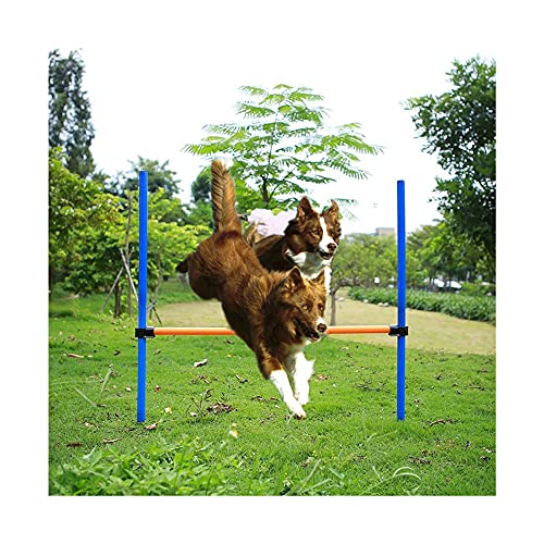 CHUANGRUN Equipos de Agilidad para Perros, Mascotas al Aire Libre Juegos Deportivos de Agilidad para Perros Equipo de Entrenamiento, Entrenamiento de Mascotas Barra de Salto de Altura Ajustable