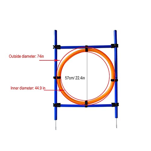 CHUANGRUN Equipos de Agilidad para Perros, Mascotas al Aire Libre Juegos Deportivos de Agilidad para Perros Equipo de Entrenamiento, Entrenamiento de Mascotas Anillo de Salto de Altura Ajustable