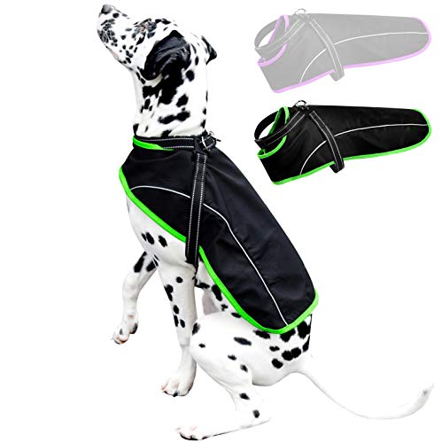 Chubasquero con arnés para perros (XXS, verde) I Abrigo para perros impermeable y reflectante I Chubasquero para perros pequeños, medianos y grandes impermeable