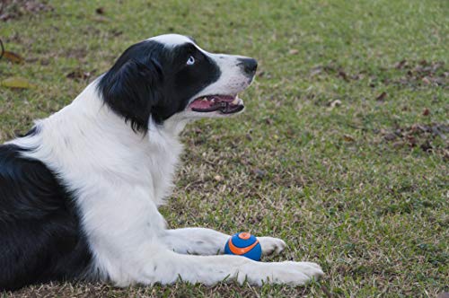 Chuckit! Pelota sonajero