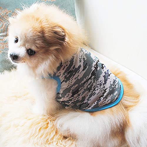 ChYoung Camisa de Perro de Verano Mascota sin Mangas sin Mangas sin Mangas Camiseta Transpirable Camiseta Chihuahua shih tzu Ropa Ropa para un Perro de Raza pequeña