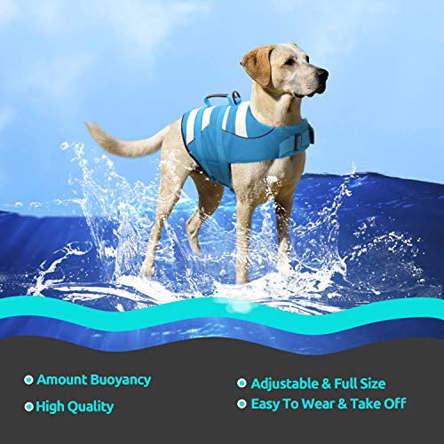 CITÉTOILE Chaleco Salvavidas para Perros Grande Ajustable, Chalecos Flotantes para Perros con Asa para la Seguridad del Perro Mientras Nada o en Remo/Canoa/Kayaks, XXL