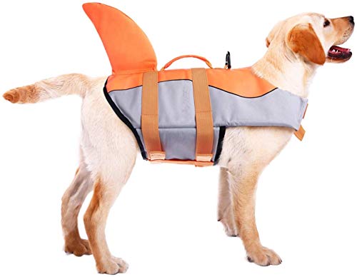 CITÉTOILE Perro Chaleco Salvavidas Chaqueta Mascotas Salvavidas Reflexivo para Piscina, Playa, Canotaje, para Perros pequeños, medianos, Grandes Que entrenan con manija de Rescate Naranja M