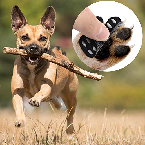 Cizen Protectores Zampa Pads, 20 unidades, antideslizantes, protectores contra deslizamiento, autoadhesivos para perros reemplazables, talla M