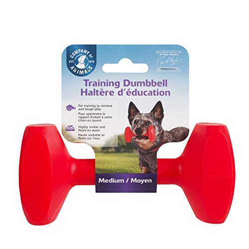 CLIX COA Training Dumbbell