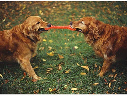 CMKJ - Juguete para perros agresivos para masticadores agresivos, juguete duradero para cambiar de dientes para perros enérgicos, medianos y grandes, color naranja