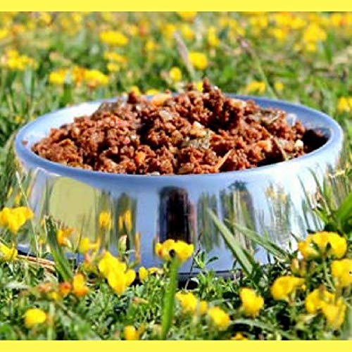 Cocido Natural casero para Perros, húmedo con Carne Fresca y Verduras Frescas - 90% Carne Knatur (12x600gr) (Pollo)