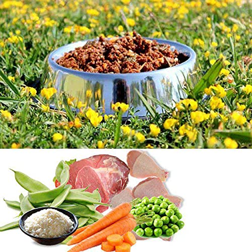 Cocido Natural casero para Perros, húmedo con Carne Fresca y Verduras Frescas - 90% Carne Knatur (5x600gr) (Pollo)