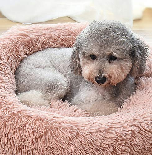 Colchón para mascotas tranquilo- Saco de dormir de cama con cojín de gato, cirugía ortopédica y lavadora de fondo antideslizante para dormir mejorada adecuada para perros y gatos pequeños y medianos