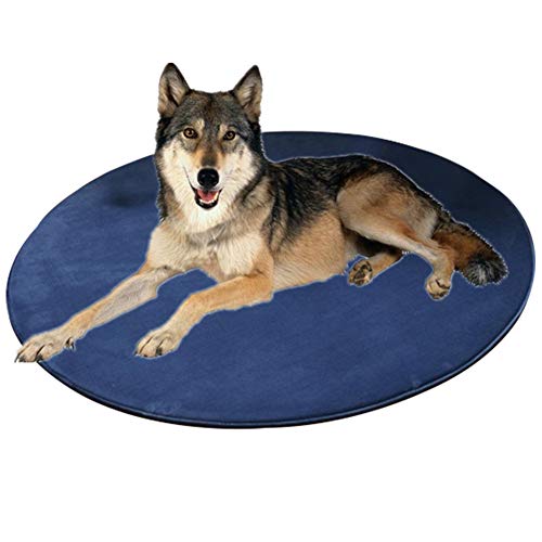 Colchon Refrigerante para Perros Manta Fria para Perros Pet Mat Almohadillas de Entrenamiento Perro de formación Blue,S