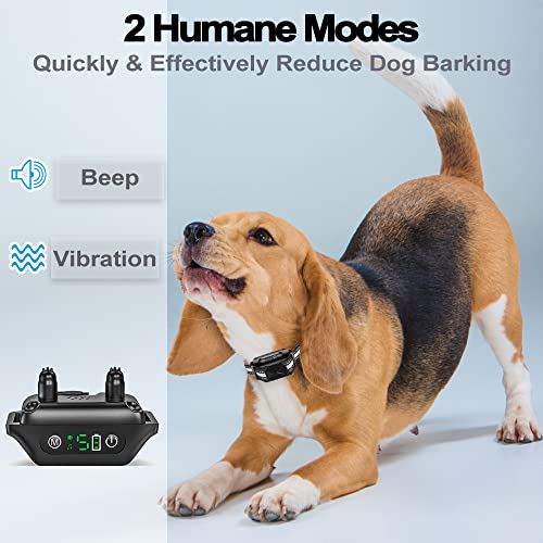 Collar Antiladridos Perros, 5 Niveles de Sensibilidad + 3 Modos de Mejora/Vibración/Pitido, IP67 Impermeable y Recargable, Adecuado para Perros Pequeños, Medianos y Grandes