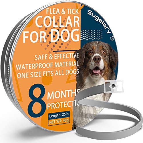 Collar Antiparasitario para Perro, Protección de 8 Meses Collar Antiparasitario de Perro Impermeable Ajustable Collar de Pulgas para Perros Mejorado con Aceites Esenciales Naturales (1pcs)