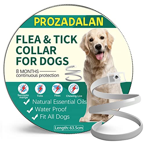 Collar Antipulgas para Perros, Collar Antiparasitario e Impermeable de 63,5 cm para Perros, 8 Meses Eficaz para Repeler Pulgas y Garrapatas Durante, Apto para Perros Pequeños, Medianos y Grandes—1pcs