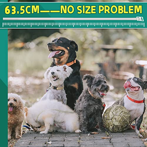 Collar Antipulgas para Perros, Collar Antiparasitario e Impermeable de 63,5 cm para Perros, 8 Meses Eficaz para Repeler Pulgas y Garrapatas Durante, Apto para Perros Pequeños, Medianos y Grandes—1pcs