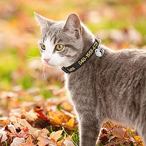 Collar de Gato Personalizado con Campana, Collar de Gato con Hebilla de liberación de Seguridad, Nombre de identificación de Mascota Bordado Tel en el Collar de Gatito