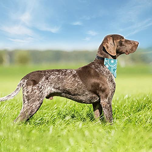 Collar de martingala ajustable con textura de círculos de color turquesa étnico, baberos de saliva para mascotas, collares regulares para gatos y mascotas, bufandas con hebilla triangulares